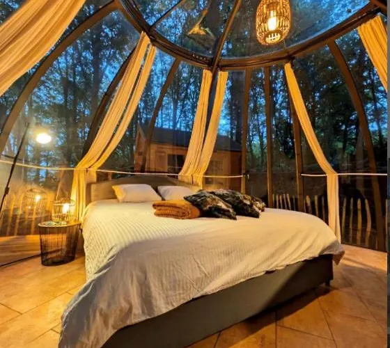 Le Dome De Namur - Une Nuit Insolite Dans Les Bois